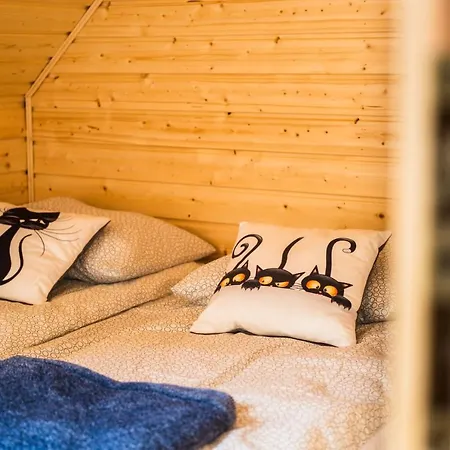 Domki Alex Ii Casa de Férias Dziwnówek